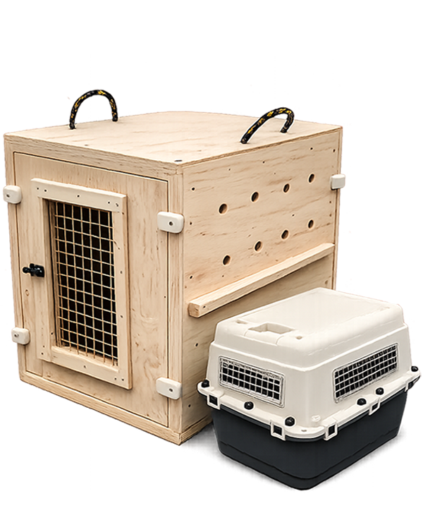 Air transport for your pets