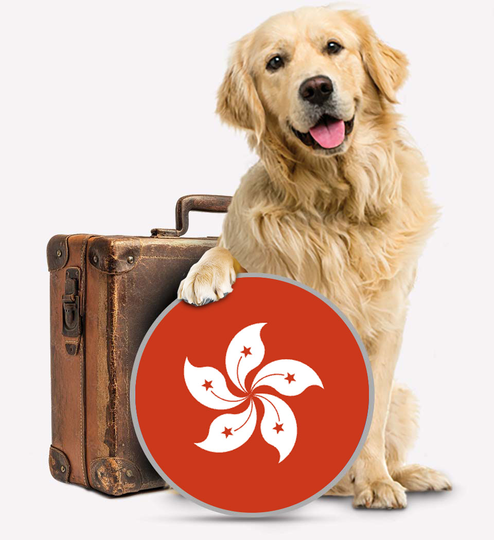 Hong Kong Pet Transport - Transfer Pats - Hong Kong Dog Transfer - Transfur Animals