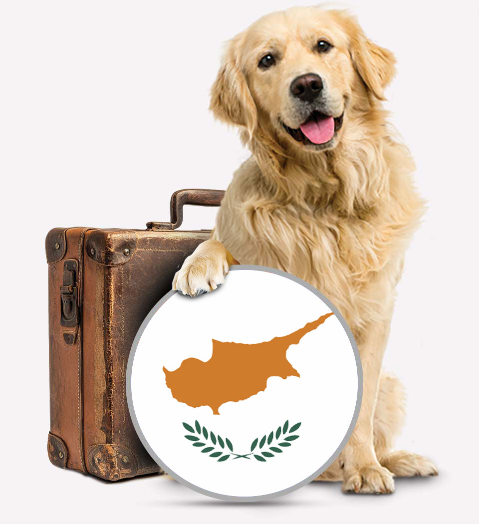 Cyrpus Pet Transport - Transfer Pets