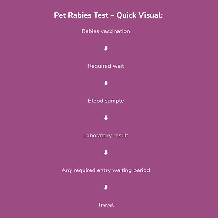 Does My Pet Need A Rabies Blood Test To Travel From The Uk