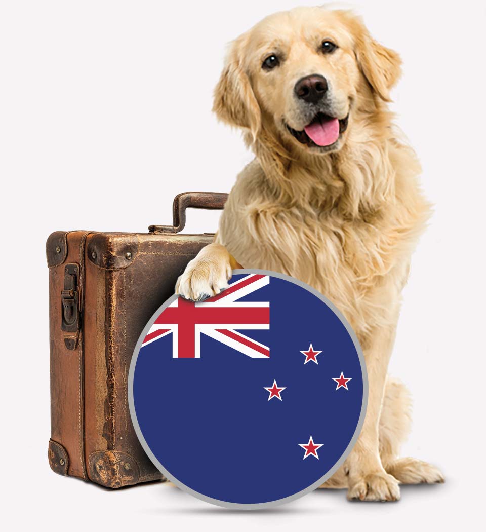 Dogs To New Zealand Pet Transport Transfer Pets