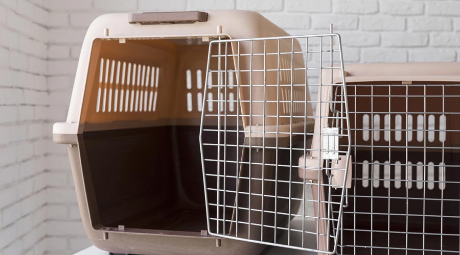 How Long Before A Flight Should I Start Crate Training My Dog