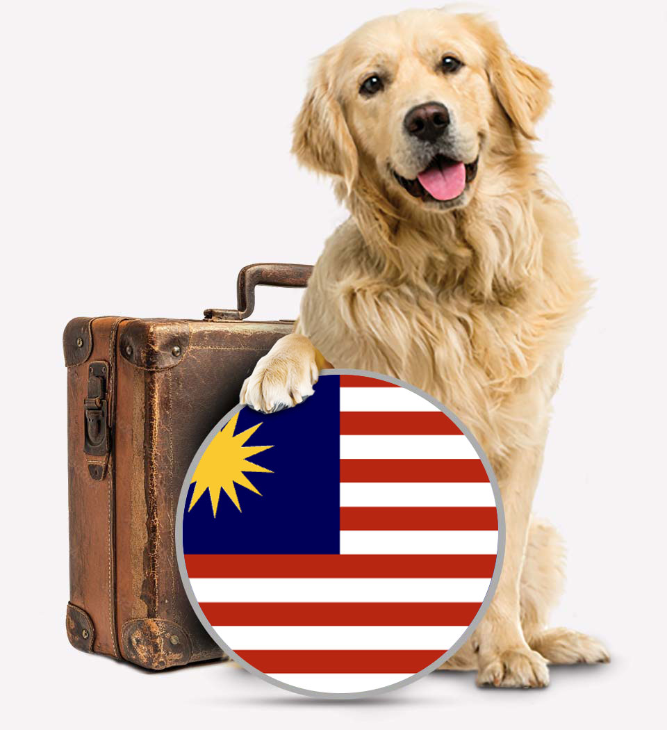 Malaysia Pet Transport - Transfer Pats - Malaysia Transfer - Transfur Animals