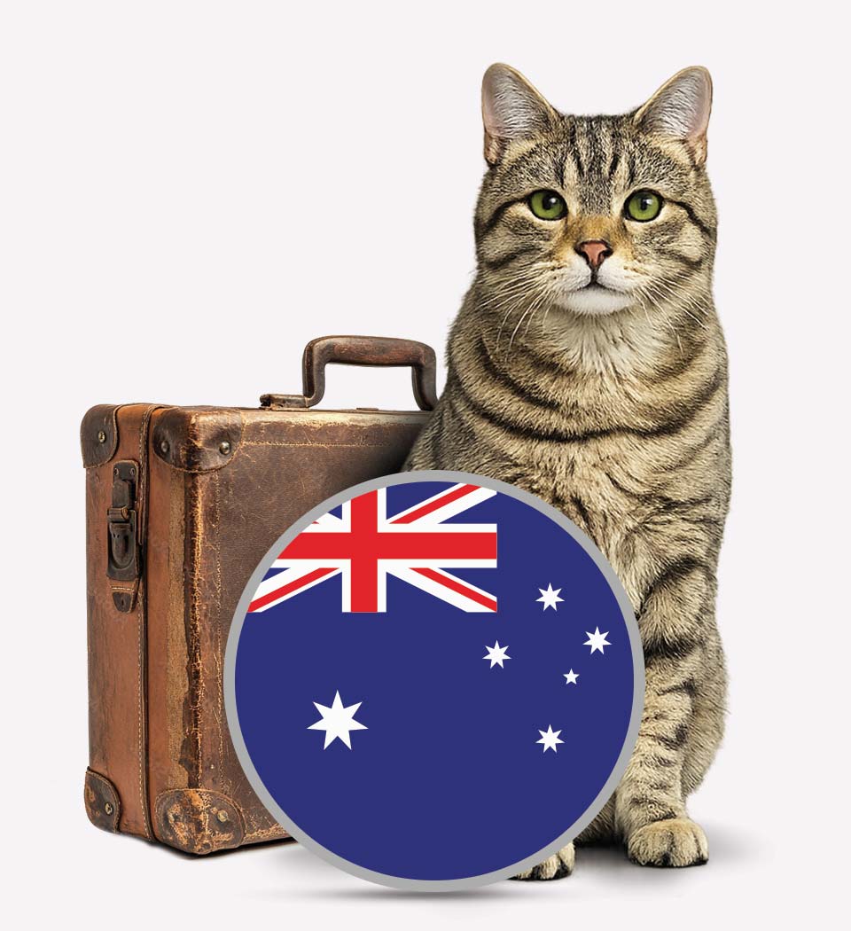 Moving Cats to Australia - Transfer Pets - Dog transfer - Transfur Animals