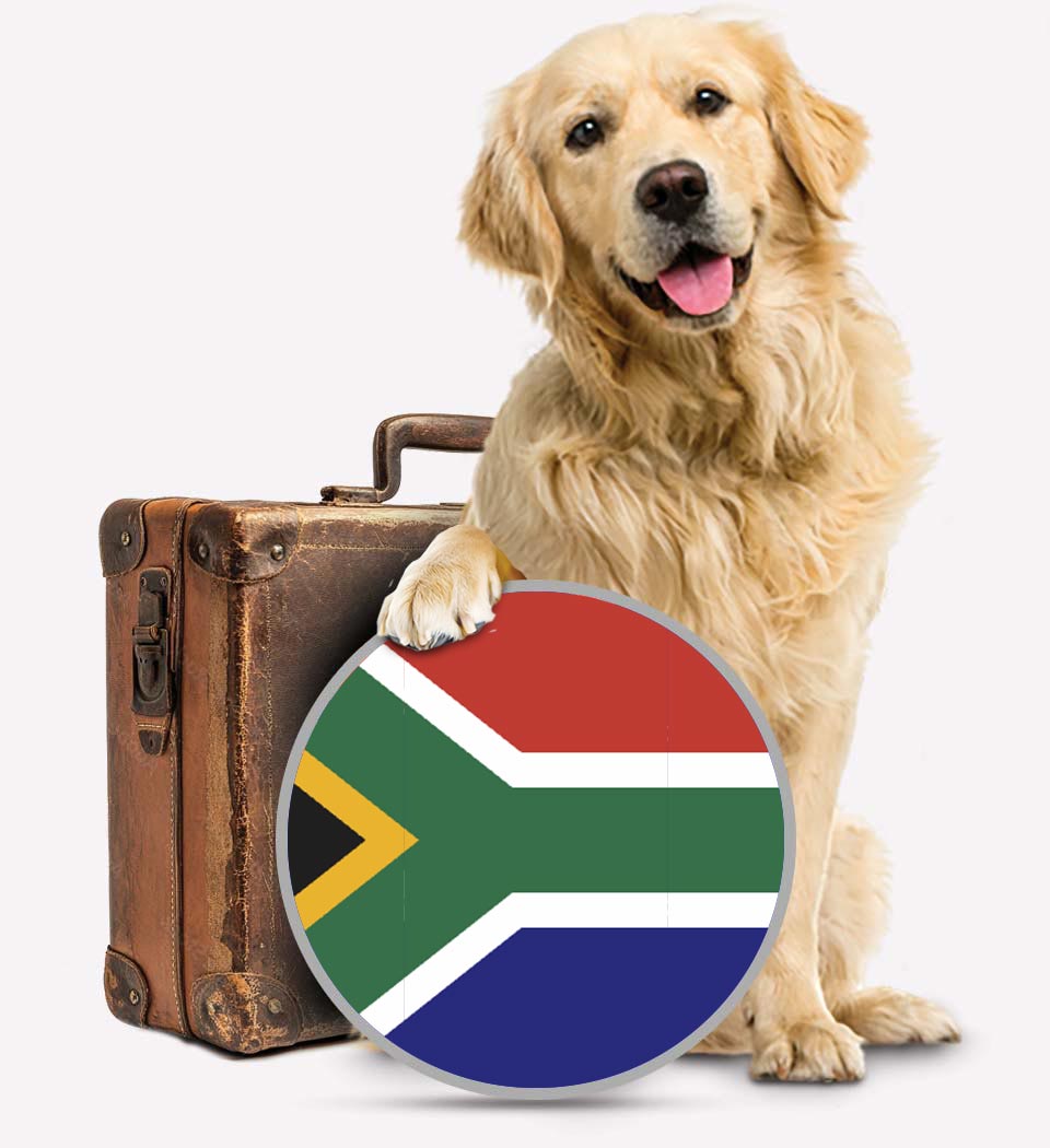 Dogs To South Africa - Pet Transport - Transfer Pets