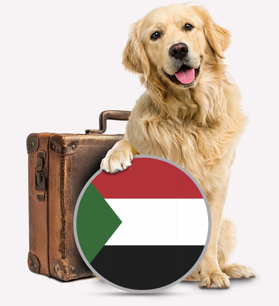 Dogs To UAE - Pet Transport - Transfer Pets
