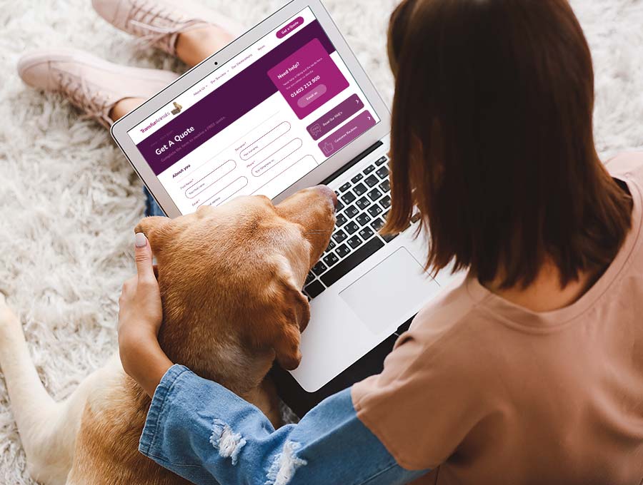 Pet Relocation Cost - International pet transport UK - Transfur Animals