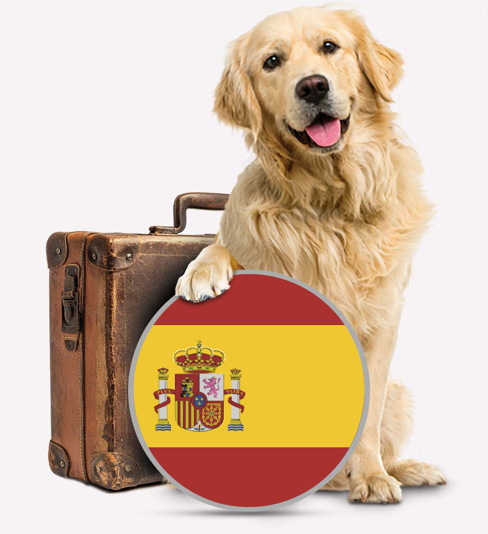 Spain Pet Transport - Transfer Pats - Spain Transfer - Transfur Animals